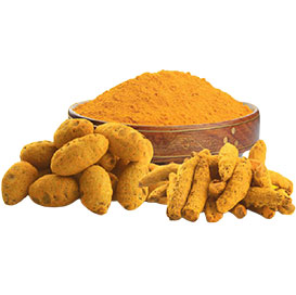 Salem Turmeric Finger, Size : 3cm Above