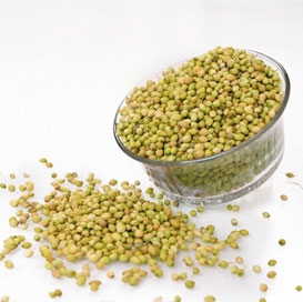 Single Parrot Coriander Seeds, Moisture : 10% Max
