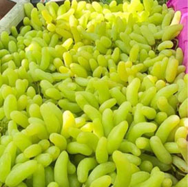 Natural Super Sonaka Grapes, Variety : Red Globe