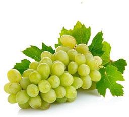 Thompson Seedless Grapes