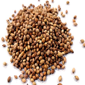 XO Quality Coriander Seeds, Moisture : 10% Max