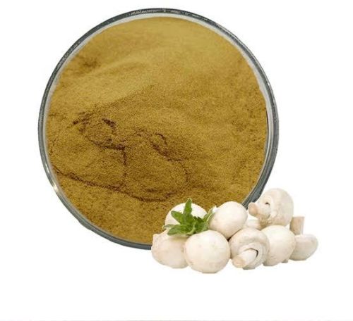 Button Mushroom Powder, Packaging Type : Vaccum Pack