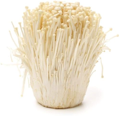 Natural Enoki Mushroom Spawn, Packaging Type : Plastic Packet