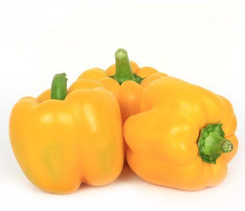 Fresh Yellow Capsicum, For Cooking, Packaging Type : Jute Bag