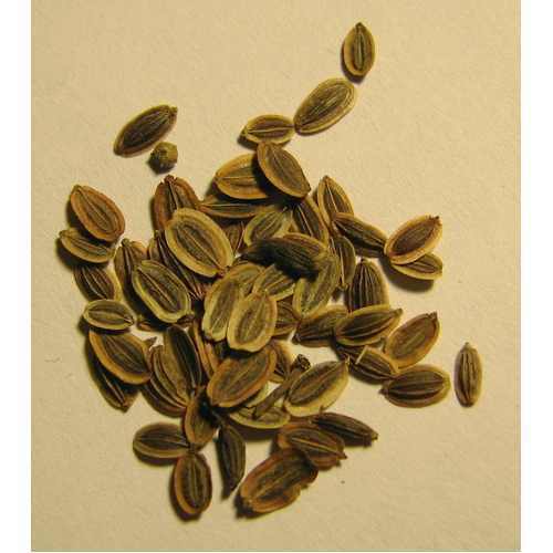 Dill Seed Oil (BP/USP Grade), For Reduces Digestive Problme, Feature : Good Quality