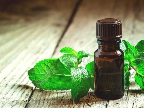 Spearmint Oil Any Grade, Feature : Aroma Fragrance