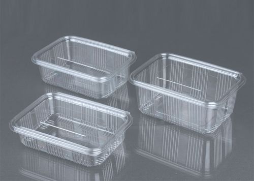 Rectangular PET Hinged Container