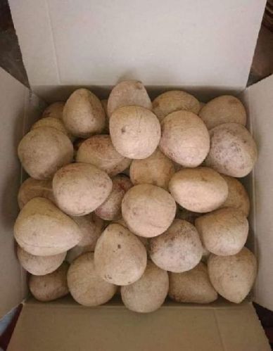 Oval Ball Copra, For Cosmetics, Pooja, Style : Natural