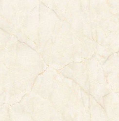 Suprema Floor Tiles, Size : 800x800 Mm