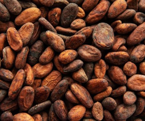 Cocoa beans, Material : Cocoa Beans