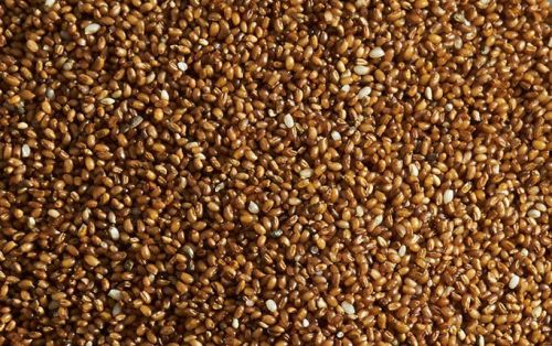 Natural Teff Grain, Color : Reddish Brown