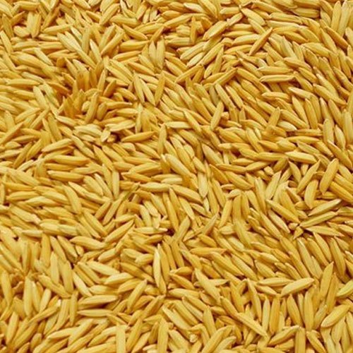 Natural Paddy Rice, For Human Consumption, Packaging Type : Jute Bags