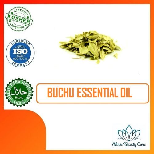 Buchu Essential Oil, For Aromatherapy, Cosmetic, Purity : 100%