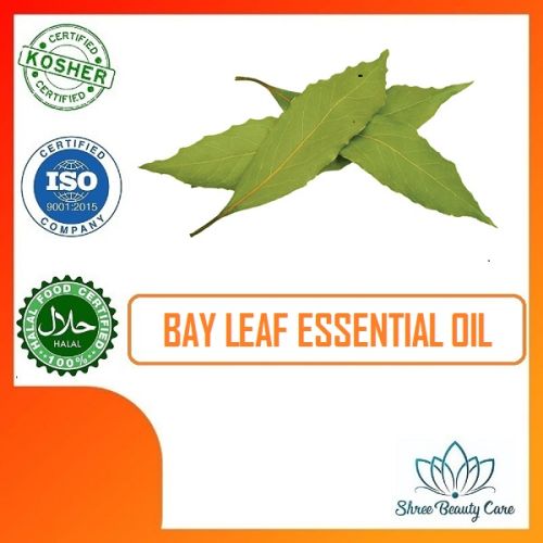 Bay Leaf Essential Oil, For Aromatherapy, Cosmetic, Purity : 100%