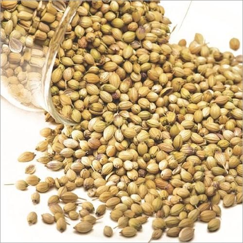 Coriander Essential Oil, For Aromatherapy, Purity : 100%