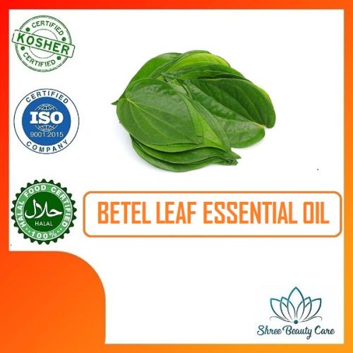 Betel Leaf Essential Oil, For Aroma Therapy, Packaging Type : Aluminum Bottles