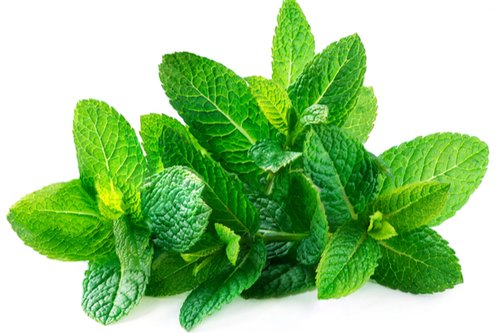 Peppermint Essential Oil, Packaging Size : 1kg, 5kg, 10kg, 25kg, 180kg Etc.
