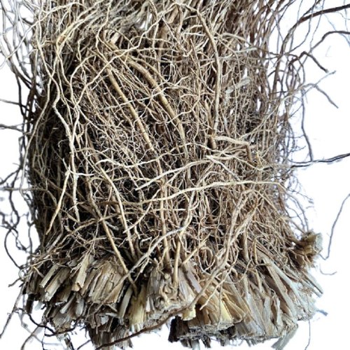 Vetiver Root, Packaging Type : Loose