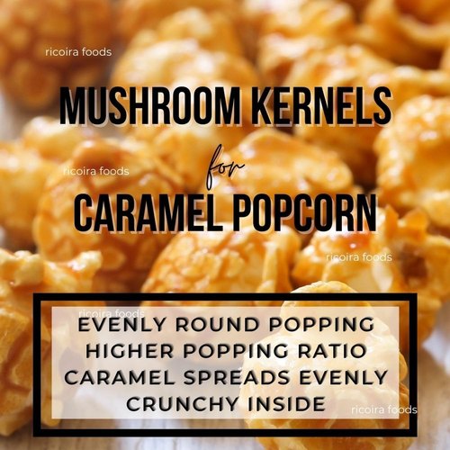 Popcorn Mushroom Kernel, Color : Yellow