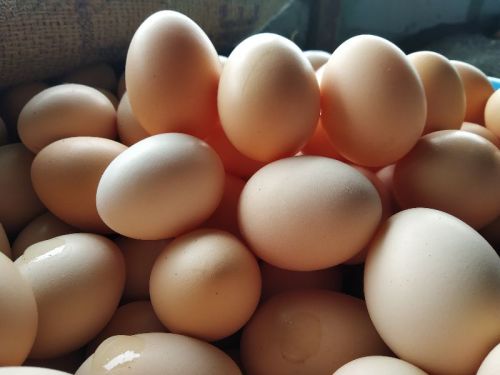 Natural Shree Krupa Poultry Farm, Packaging Size : 30 pcs