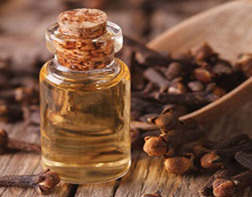 Clove Oil, Packaging Type : Glass Bottle, Plastic Bottle