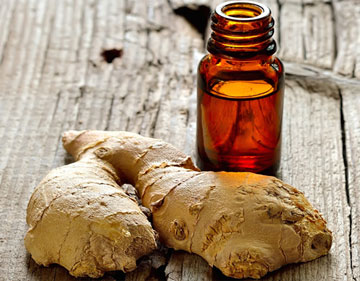 Ginger Oil, For Medicine, Feature : Anti-Inflammatory