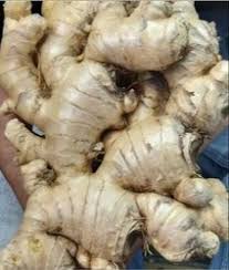 Blended Organic ginger powder, Packaging Type : Light Brown