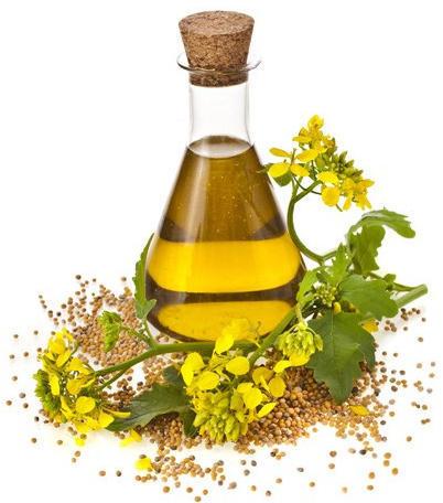 Cumin Oil, Packaging Size : 100ml, 200ml, 250ml, 50ml