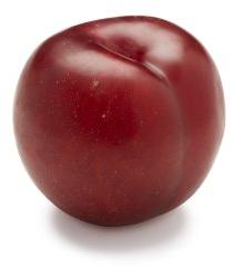 Fresh Plum