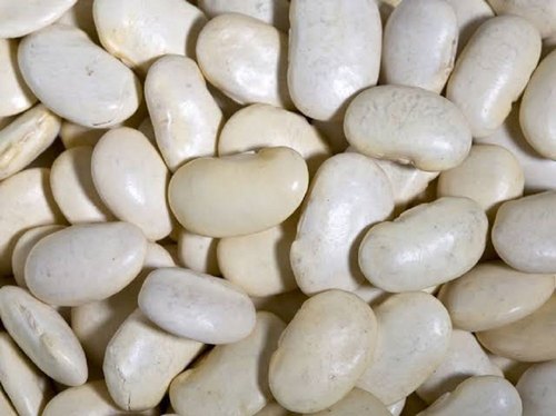 Lima Beans, For Agriculture Use, Packaging Type : Plastic Bag