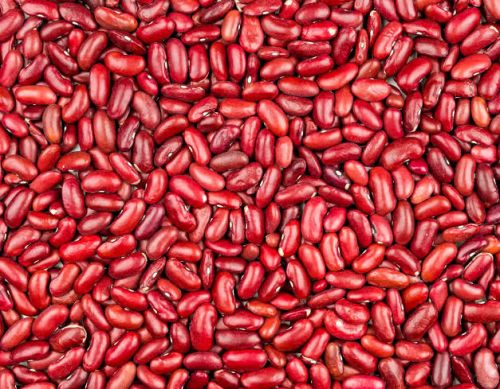 Organic Red Kidney Beans