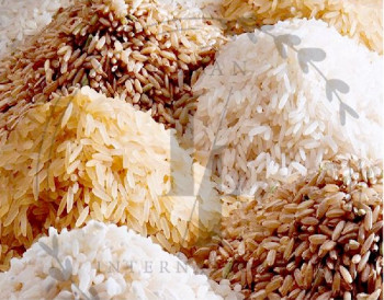 SS304 Hard Common Safed Basmati Rice, For Cooking, Food, Style : Dried, Fresh, Steamed