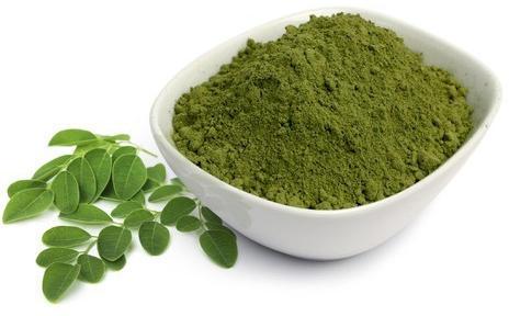 Moringa powder, Purity : 100%