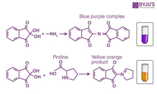 Ninhydrin, CAS No. : 485-47.2