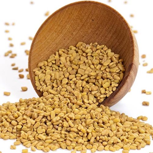 Organic Fenugreek Seeds, For Food Medicine, Packaging Size : 250gm, 500gm