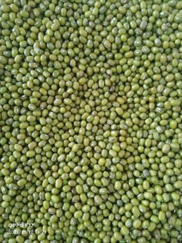 Green Gram, Packaging Type : Gunny Bag, Jute Bag, Plastic Bag