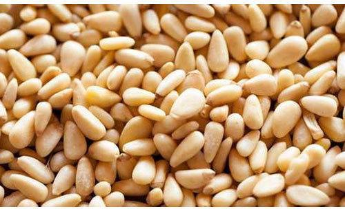 Pine Nuts, Packaging Type : Packet, Bag