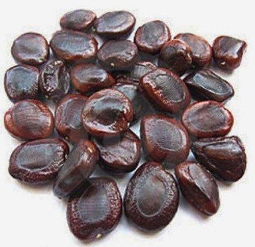 Tamarind Seed, Shelf Life : 24 Month