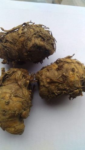 Common Black Turmeric, For Medicinal, Style : Dried