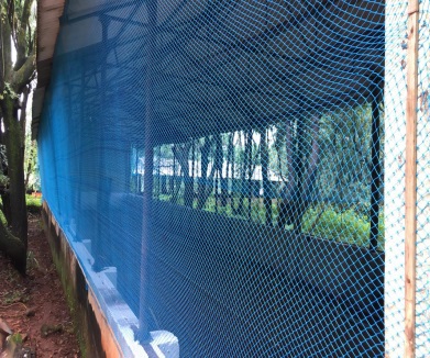 HDPE Fencing Net, For Agriculture / Sports