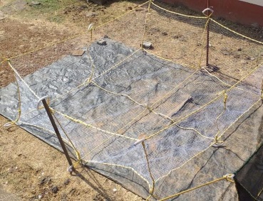 Nylon Grow Net, For Growing Of Fish