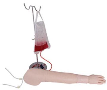 Intravenous Injection Arm Model