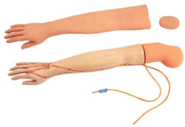 IV Training Arm Model, Color : Skin Color