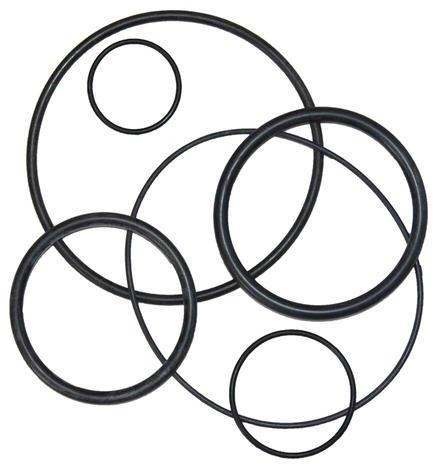 Sigma Viton O Ring, Size : 100 Mm