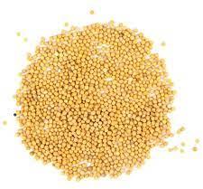 Mustard Seeds, Color : Yellow