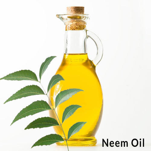 Cold Pressed Neem Oil