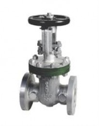 SANT CAST STEEL IBR Gate Valve