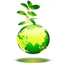 Environmental Clearance Services