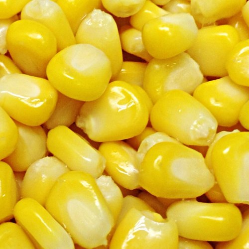 American Corn, Packaging Type : Plastic Box, Plastic Packet