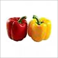 Fresh Red Yellow Capsicum, For Cooking, Packaging Type : Jute Bag, Plastic Bag